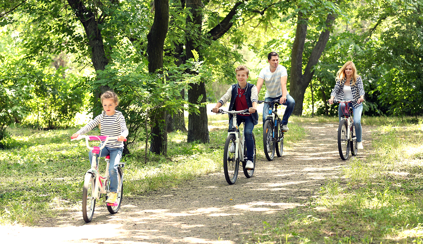 Dutch cycling sales holidays